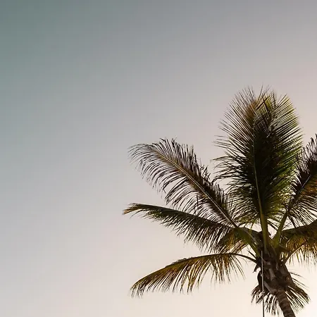 Moderno Piso En Palmas De Gran Canaria Las Palmas de Gran Canaria